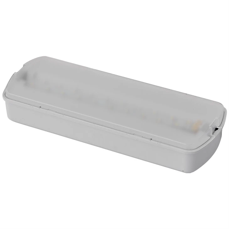 Wall Mounted Emergency Exit Light best